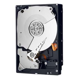 WD1002FAEX