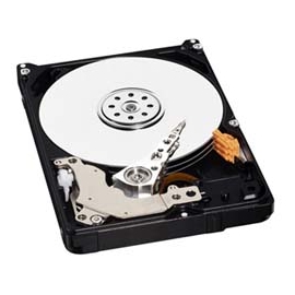 WD5000BPVT
